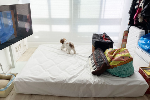 毎日 布団収納袋 おすすめ クローゼットない 押し入れない