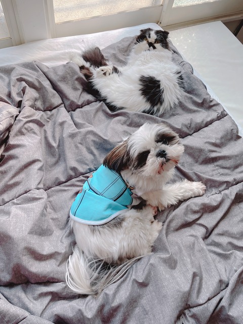 2023-01-24_11-54-28_171