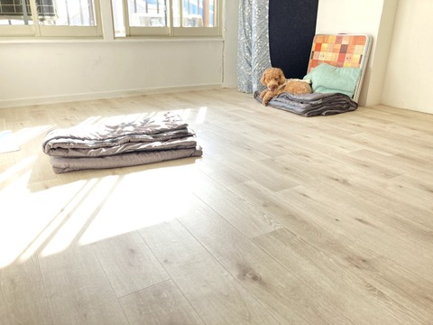 vcbFPYnmStiJXU504JSoEg