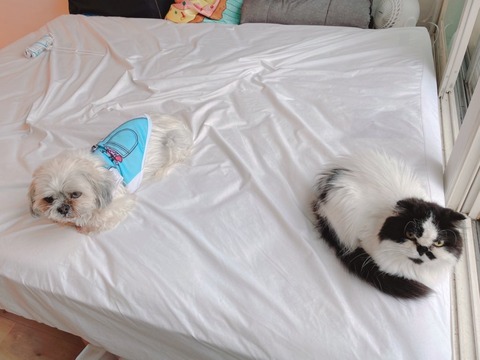 2023-03-25_08-34-16_423