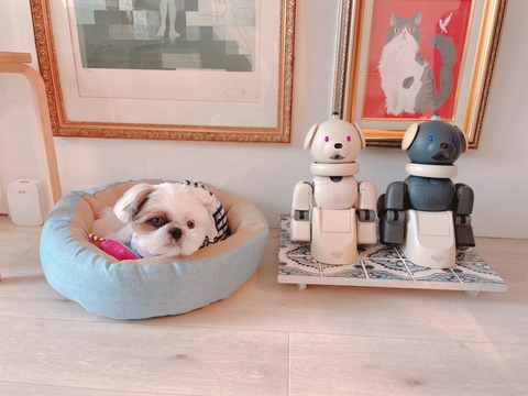 2022-08-21_13-26-03_829