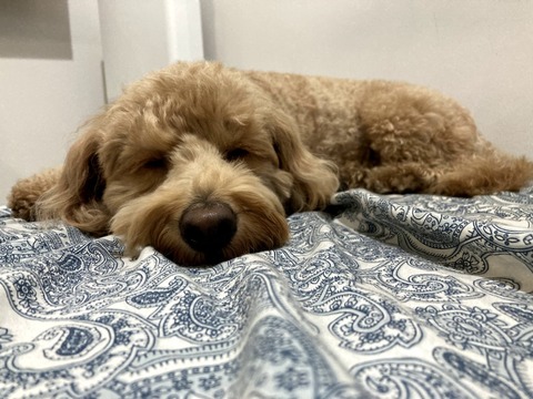 WbUmN0J8S6iJ-mbuMIQ5jg