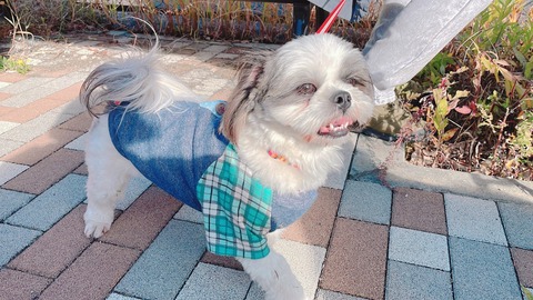 2022-12-05_20-25-39_428