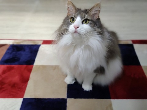 ET2WF3mQRMu7MPAnG_BO-A