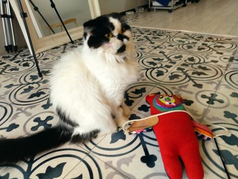 DNLddciDSNuvrwC-rvKJww