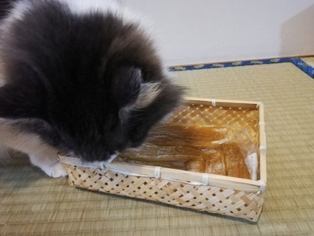 中国産干し芋は危険?農薬・保存料不使用|静岡県銀篭園の紅はるかがおいしい