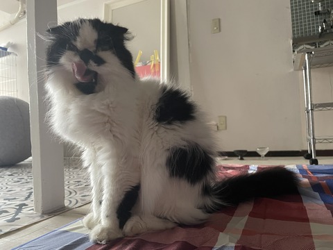 2022-05-14_07-35-16_239