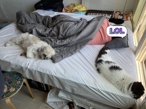 2023-04-09_12-08-36_095