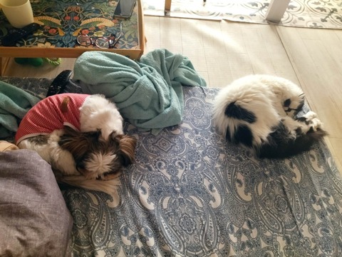 qL4pL3Q0TRe084U-ri3EzQ