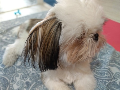 vCHIRE6OQrGtK0d2tBregg