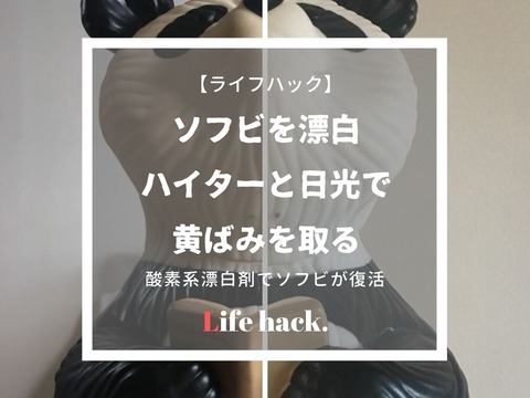 ライブドアひながた (13)