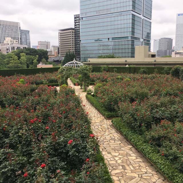 ニューオータニクラブは超絶お得 専用ラウンジで無料でドリンク飲み放題