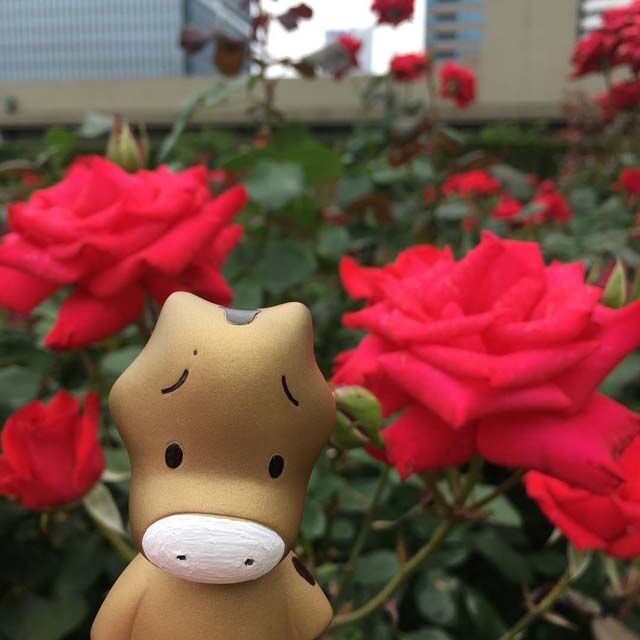 ニューオータニクラブは超絶お得 専用ラウンジで無料でドリンク飲み放題