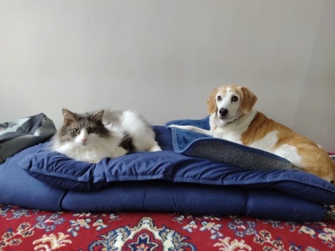 rlqj9xeGT7m9CdKY6YjvtQ