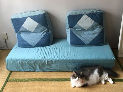 ライブドアひながた (6)