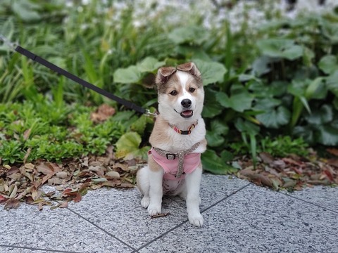 YkmA4kTwRwiytRfstoJO6w