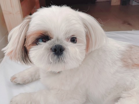 2022-07-08_09-02-22_445