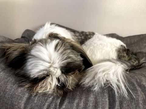 -9gswy9JQpm-WvrCkYdklA