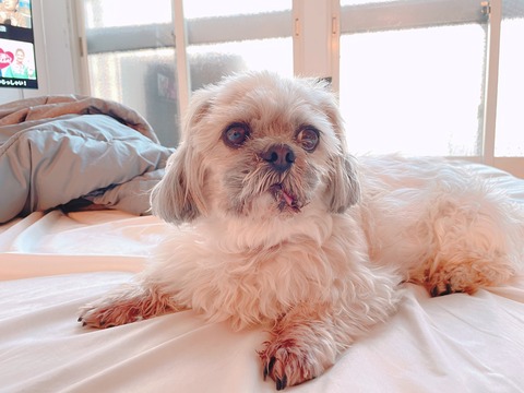 2023-04-09_17-40-25_035