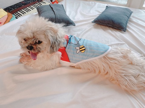 2023-04-14_17-02-53_077