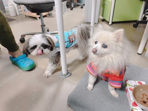 2023-01-26_20-18-03_104