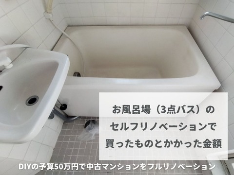 ミニマリノベひながた (17)