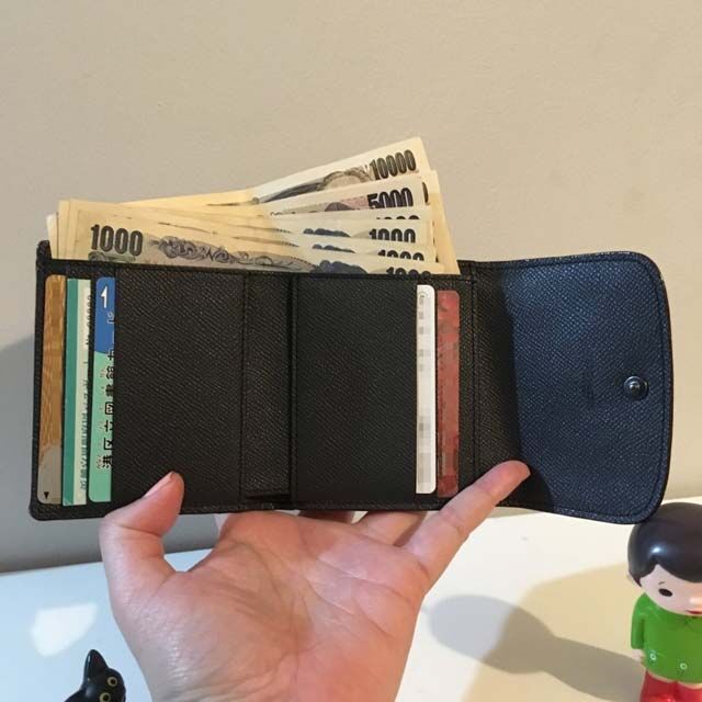 ミニマリスト財布 女性用ブランドで 安くて使いやすいおすすめの二つ折り ていない ていねいじゃない暮らしのブログ Powered By ライブドアブログ