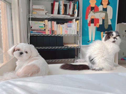 2022-07-12_08-10-35_158