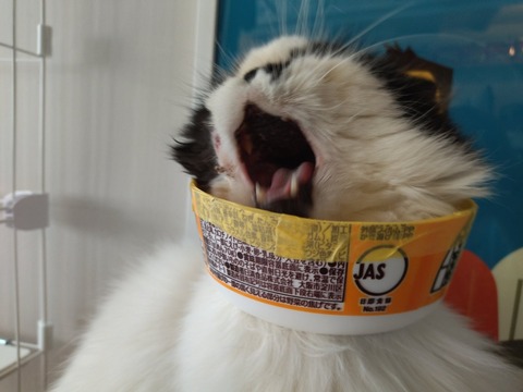 At9dub0iSk-jRRw2wKT6qA