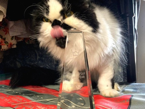 【お知らせ】ライブドアブログ・オブ・ザ・イヤー「新人賞」受賞しました！