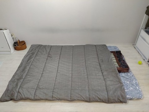 ミニマリストの愛用品 寝袋をかけ布団にしています ていない ていねいじゃない暮らしのブログ Powered By ライブドアブログ