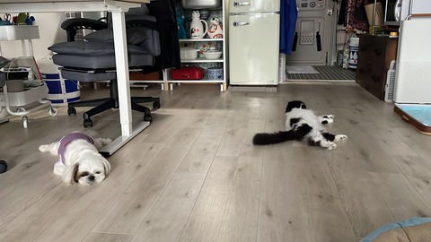 2022-07-05_05-32-59_895