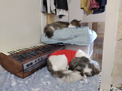 l3-hrkcxQSqRi1dGRiyVPA