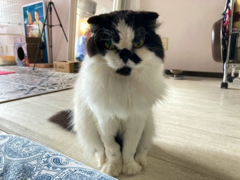 Hrzk8TYKT1q2MsabBWzskg