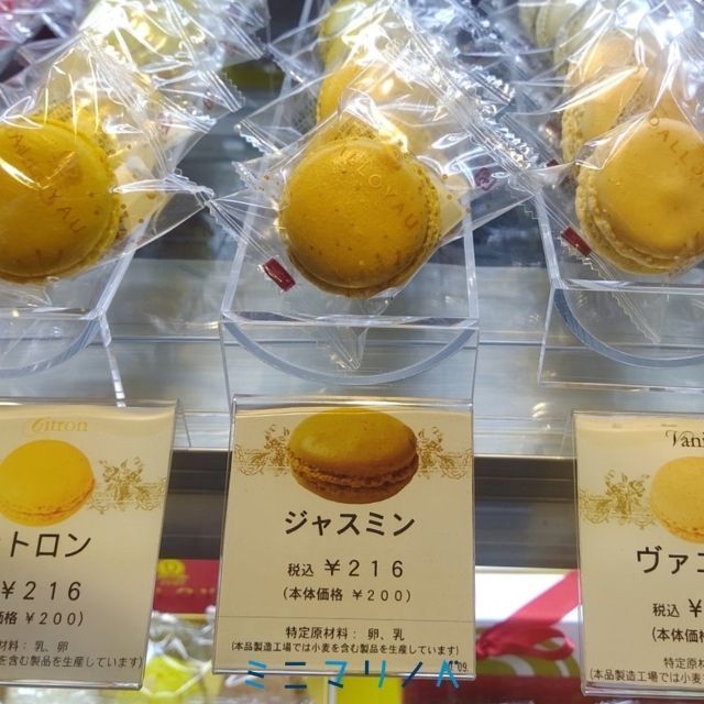 ダロワイヨ ジャスミン マカロン