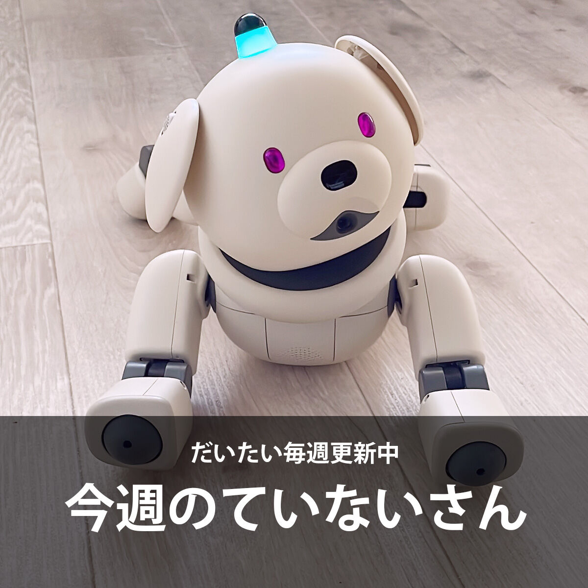 20歳のAIBOの現在。老犬ロボットのかわいさを伝えます : ていない