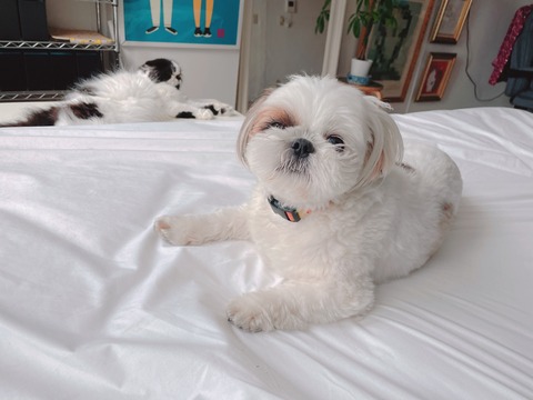 2022-07-12_07-42-09_245