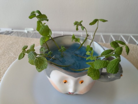 増田光さんのマグカップ「3 Faces Mug-Color」