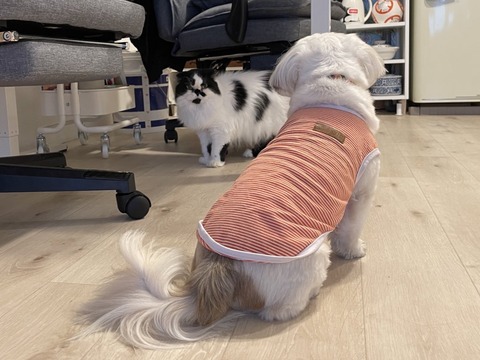 2022-07-04_19-26-32_947