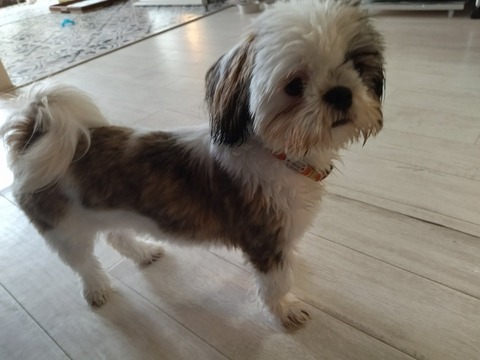 ArP2CBmxRBuvQSi3Pk07mg