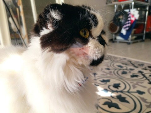 waWTKC1wSLKsPvyk_SKviw