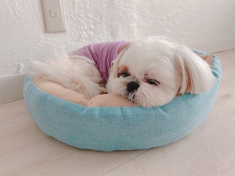 2022-07-06_11-23-49_461