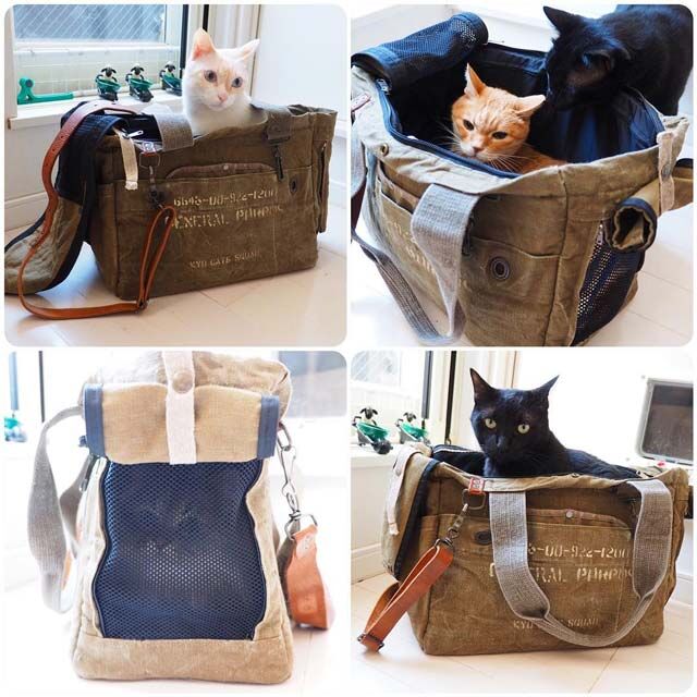 おしゃれな猫キャリーバッグおすすめ10選 ブログやインスタで人気猫のペットキャリー ていない ていねいじゃない暮らしのブログ Powered By ライブドアブログ おしゃれな猫キャリーバッグおすすめ10選 ブログやインスタで人気猫のペットキャリー ていない ていねいじゃない暮らしのブログ Powered By ライブドアブログ