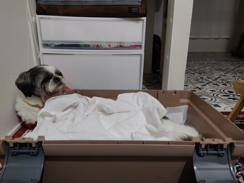 2ZRsk7qLTc2KKK-Z99gNMw