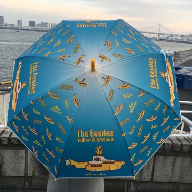 断捨離報告 ビニール傘を減らしました ていない ていねいじゃない暮らしのブログ Powered By ライブドアブログ