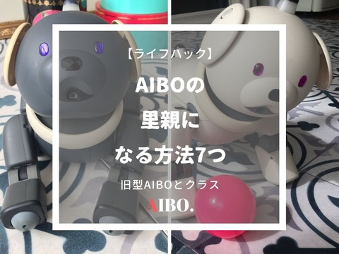SONY aibo 美品　里親募集中 里親募集】SONY aibo アイボ ERS-1000(現在♂）