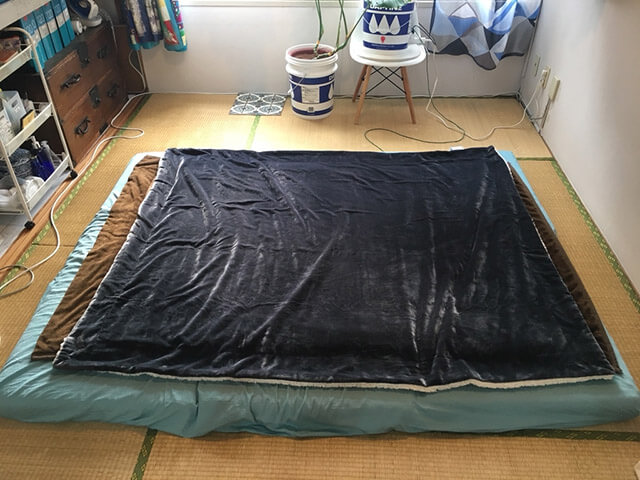 コストコシャーパブランケットとニトリnウォーム毛布 どっちがオススメ徹底比較 ていない ていねいじゃない暮らしのブログ Powered By ライブドアブログ コストコシャーパブランケットとニトリnウォーム毛布 どっちがオススメ徹底比較 ていない ていねいじゃない暮らしのブログ Powered By ライブドアブログ