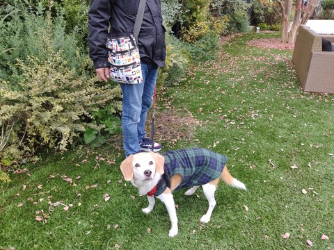 efpL7_0YQGOKL1BnLBeBhw