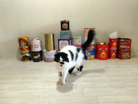 h85NN-LvSqO1LZYNEroZ1g