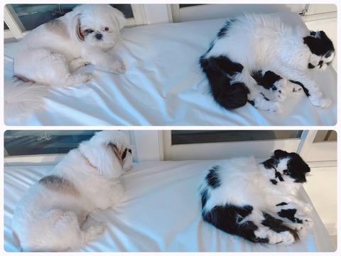 2022-07-11_03-18-12_459